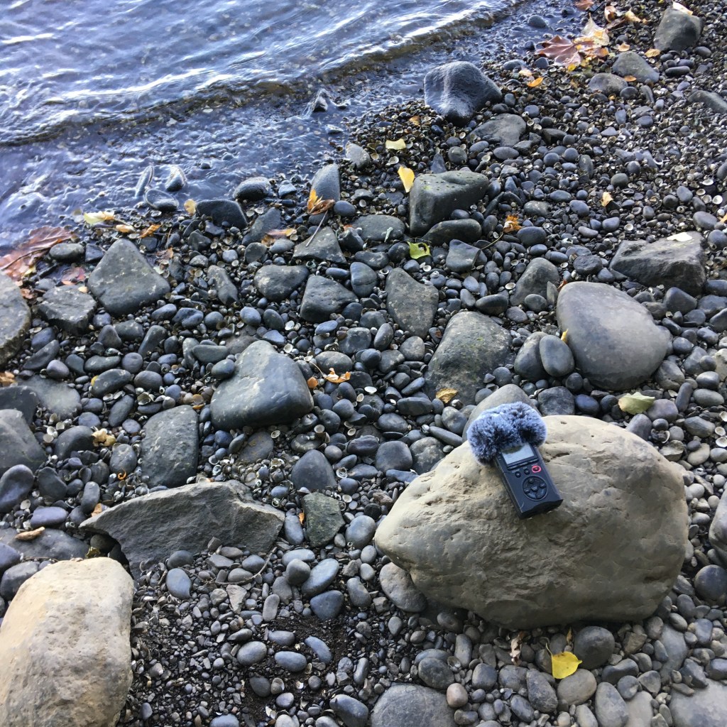 A Susquehanna Field Recording – Forest, River&nbsp;Ambience