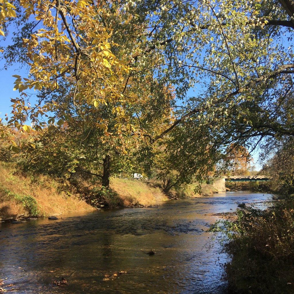 Deer Creek in Harford County, Maryland. A stream glowing with yellow, autumn foliage. A bridge in the distance. Used to give the aesthetic of fall.